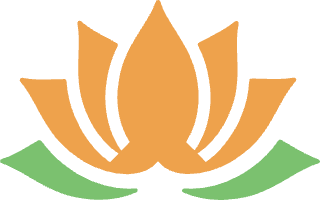 佛系冲浪选手